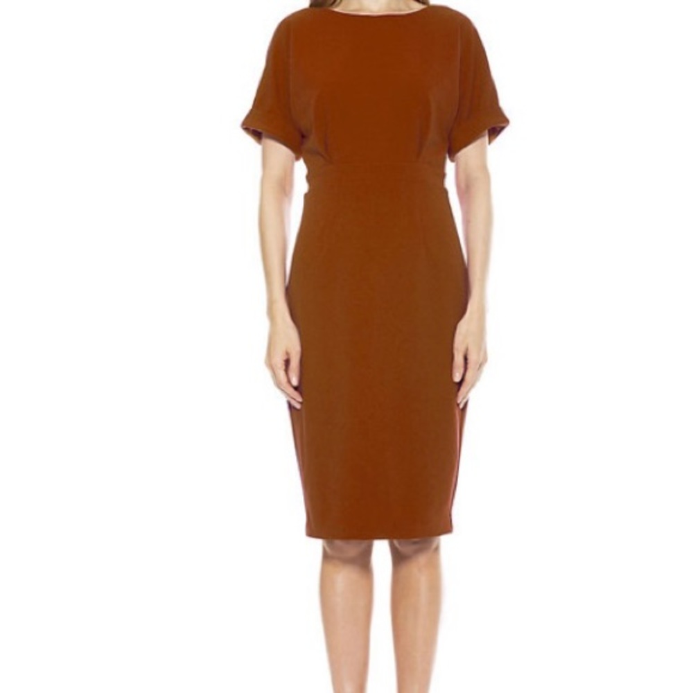 Copper Alexia Admor dolman-sleeve sheath dress.